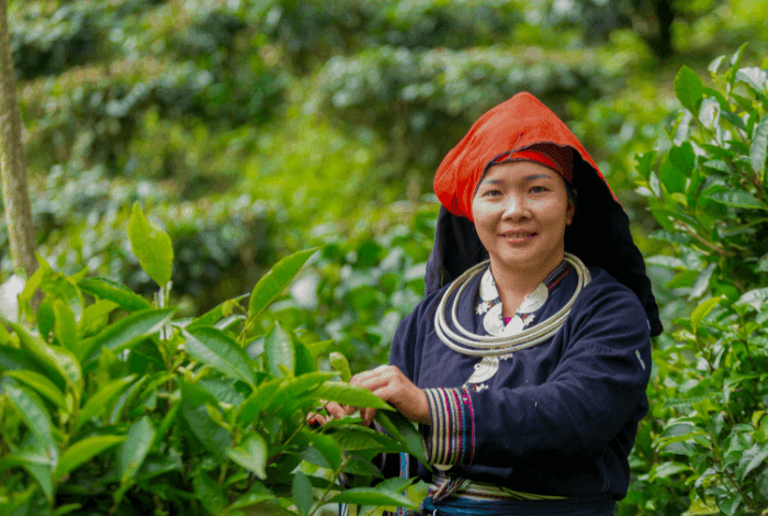 Mastercard Strive Women: Her Business, Her Financial Future