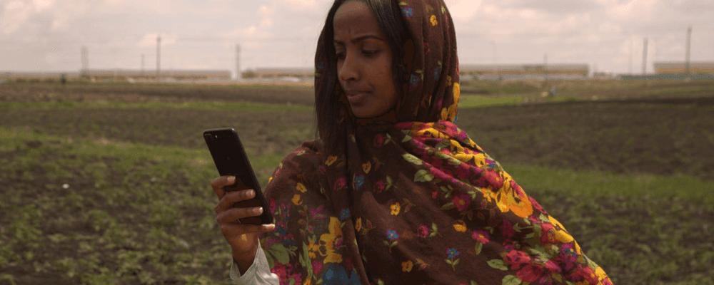 A woman in a floral headscarf looks at her phone in a green agricultural field.