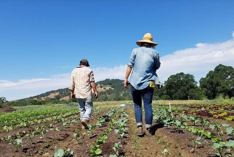 California FarmLink: Powering conservation through digital solutions for small farmers