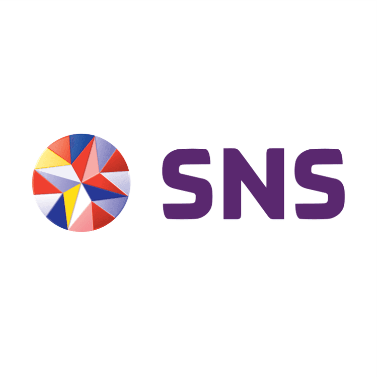 SNS logo featuring a colorful, geometric, circular icon and purple text.