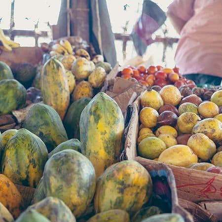 Alexelle, Technoserve